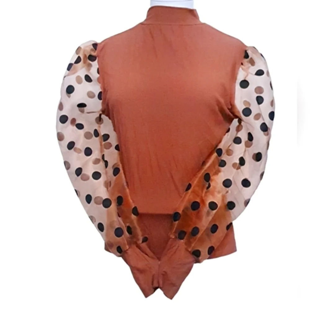 Bronze Mesh Polka Dot Patchwork Puff Bishop Sleeve Fitted Top - Picture 2 of 6